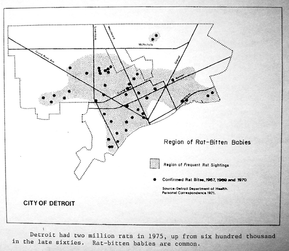 'Region of Rat-bitten Babies' by William Bunge